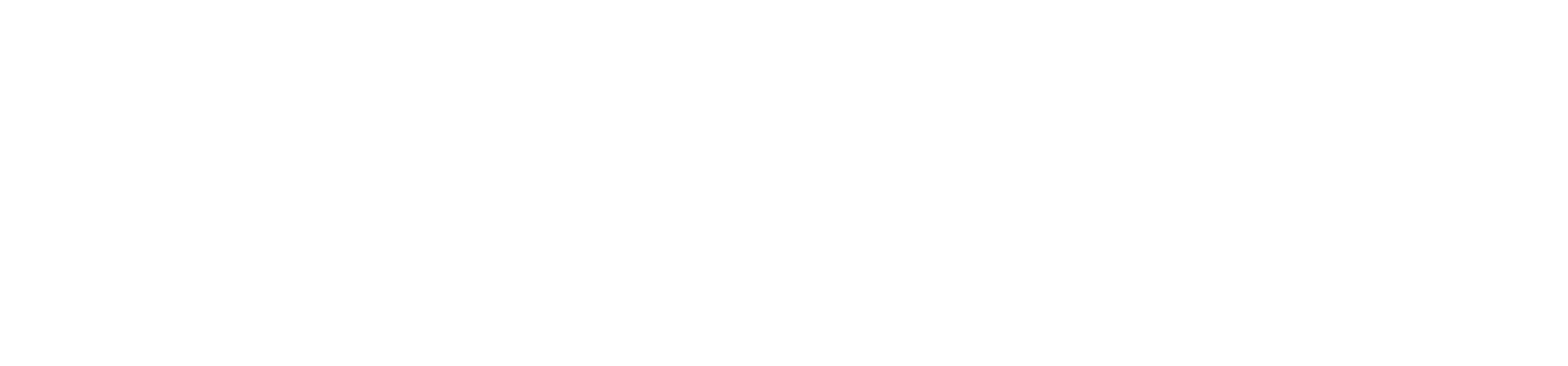 ENNE-SERVICIOS-LOGO